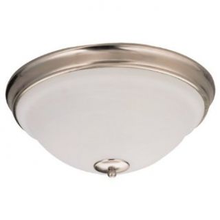 Sea Gull Lighting 79058BLE 962 Serenity Single Light Flourescent Close To Ceiling Fixture, Excavated Alabaster Glass Bowl and Brushed Nickel    