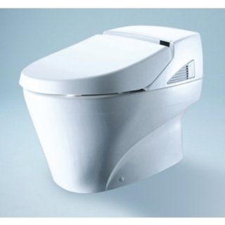 Toto Toilets Bidets MS990CGR Neorest Toilet Washlet Unit Sedona Beige   One Piece Toilets  
