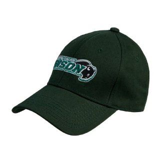 Nichols College Dk Green Twill Unstructured Low Profile Hat 'Nichols College Bison w/Bison' : Sports Fan Baseball Caps : Sports & Outdoors