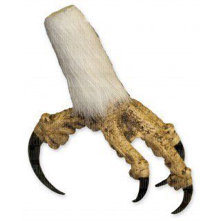 Bald Eagle Foot with feathers   closed (Teaching Quality Replica): Industrial & Scientific