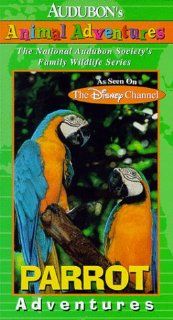 Audubon's Animal Adventures: Parrot [VHS]: Brad Kane: Movies & TV