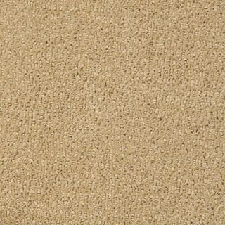 STAINMASTER Active Family Wine and Dine Luminara Fashion Forward Indoor Carpet