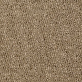 STAINMASTER Active Family Wine and Dine Crusty Bread Fashion Forward Indoor Carpet