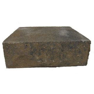 allen + roth Cassay Tan/Charcoal Chiselwall Retaining Wall Block (Common 9 in x 3 in; Actual 9.2 in x 3.2 in)