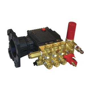 General Pump Pressure Washer Pump   4 GPM, 3000 PSI, 11 HP Required, Model