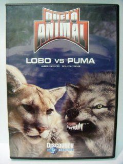 Duelo Animal Lobo Vs. Puma (Animal Face Off Wolf Vs. Cougar) Movies & TV