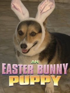 An Easter Bunny Puppy: Alison Sieke, Kristine DeBell, Chris Petrovski, Mary Crawford:  Instant Video