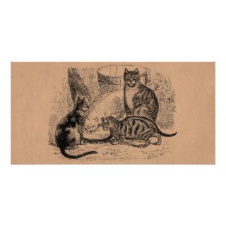 Vintage Barn Cats 1800s Cat Illustration Template Photo Card Template