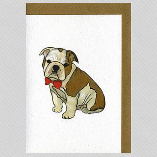 illustrated bulldog boy pup blank card by illustrated cards