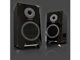 BOSE 161W speaker system: Electronics