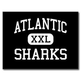 Atlantic   Sharks   High   Port Orange Florida Post Card