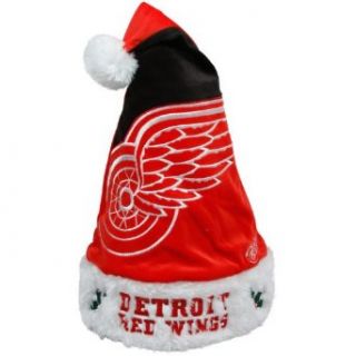NHL Detroit Red Wings Santa Hat : Sports Fan Novelty Headwear : Clothing