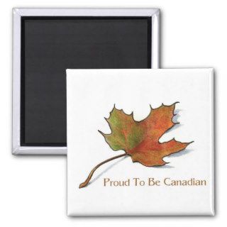 Proud Canadian: Maple Leaf in Color Pencil: Art Fridge Magnets