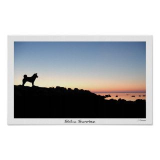 Shiba Sunrise Posters