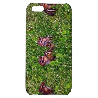 Chipmunk Collage Animal iPhone 4 Speck Case Cover For iPhone 5C