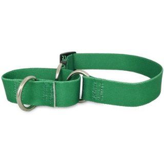Solid Kelly Green Martingale Dog Collar : Pet Leash Collar And Harness Supplies : Pet Supplies