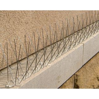 Bird-X Stainless Steel Bird Spikes — 50ft.L x 5in.W, Model# STS-50  Bird Repellers