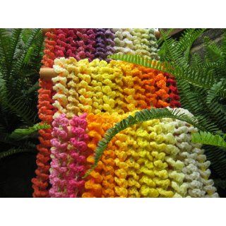 Hawaiian Lei in Crochet: Roberta Wong: 0089279242557: Books