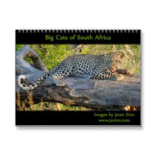 Big Cats of South Africa 2014 Calendar