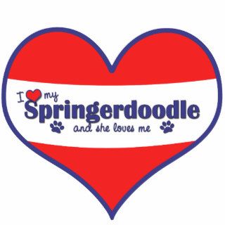 I Love My Springerdoodle (Female Dog) Photo Cut Out