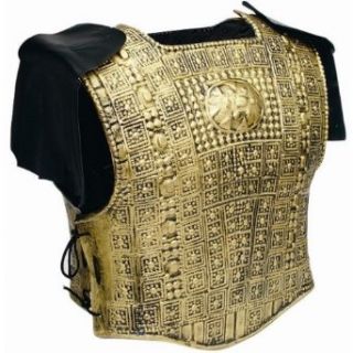 21998 2 Piece Gold Armor Set W 2 Shoulder Fringes, Adult: Adult Sized Costumes: Clothing