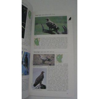 A Photographic Guide to Birds of East Africa David Richards 9780883590386 Books