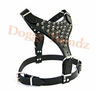 Avon Pet Products Ltd. Spike Leather Dog Harness Rottweiler Pitbull Doberman Bulldog : Pet Halter Harnesses : Pet Supplies