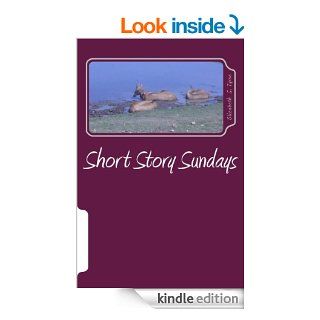 Short Story Sundays (The Short Story Supposition) eBook: Elizabeth Tyree: Kindle Store