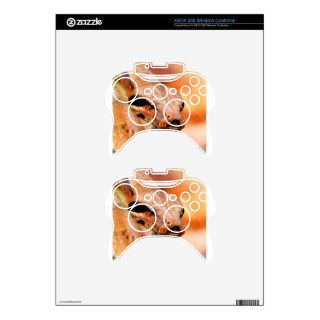 Snakes Python Close Up Xbox 360 Controller Skin