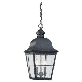 Sea Gull Lighting 6062 46 Two Light Colonial Outdoor Pendant, Clear Seeded Glass, Oxidized Bronze   Pendant Porch Lights  