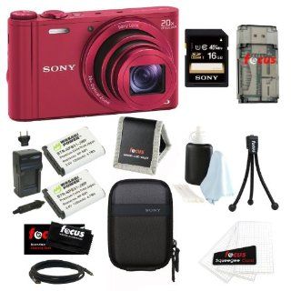 Sony DSC WX300/R 18.2 MP Digital Camera with 20x Optical Image Stabilized Zoom and 3 Inch LCD (Red) + Sony 16GB SDHC Memory Card + Sony Camera Case + Accessory Kit : Point And Shoot Digital Camera Bundles : Camera & Photo