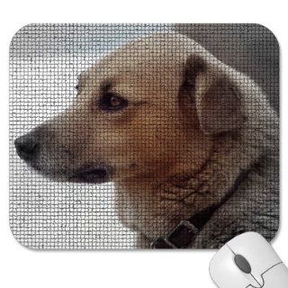 Mousepad   9.25" x 7.75" Designer Mouse Pads   Dog/Dogs (MPDO 407): Computers & Accessories