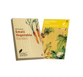 small vegetable garden gift voucher by rocket gardens