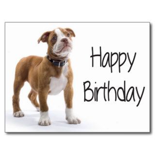 Happy Birthday Boxer Puppy Dog  Postard Postcards