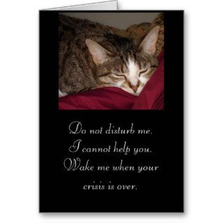 kitty           Do not disturb me.Greeting Card