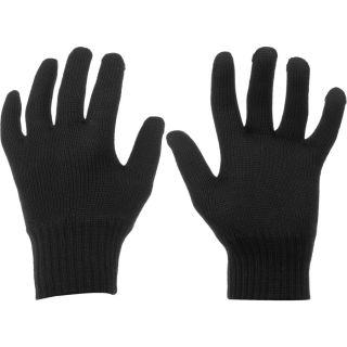 Icebreaker Legion 320 Glove