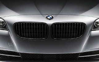 BMW 51 71 2 165 528 Performance Black Kidney Grille   Right: Automotive