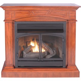 ProCom Dual Fuel Fireplace and Mantel —  32,000 BTU, Model# PCFD32RT-M-MO  Dual Fuel: Gas   Propane Heaters