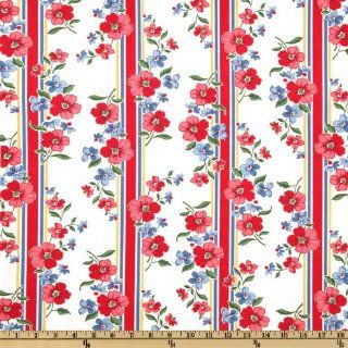 44'' Wide Strawberry Picnic Border Stripe White/Red Fabric By The Yard