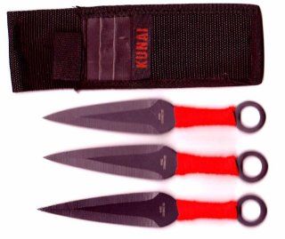 Ninja Throwing Knives in Nylon Sheath 3pc Set : Martial Arts Knives : Sports & Outdoors