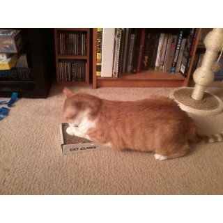 Cat Claws Scratching Pad : Cardboard Scratchers : Pet Supplies