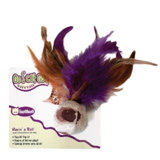 OurPets Cat Ball with Feathers Natural Cat Toy : Catnip Toys : Pet Supplies