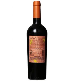 2011 Antiyal Red Blend 750 mL: Wine