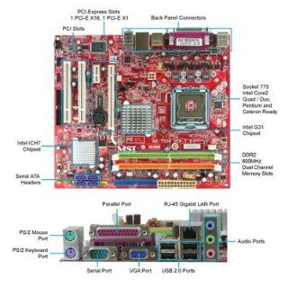 MSI G31M3 F Socket 775 DDR2 MS 7528 Motherboard: Electronics