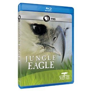 Nature: Jungle Eagle [Blu ray]: n/a, Fergus Beeley: Movies & TV