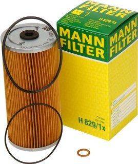 Mann Filter H 829/1 X Oil Filter: Automotive