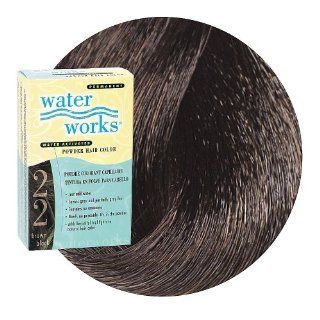 WATER WORKS Permanent Powder Hair Color #22 BROWN BLACK : Chemical Hair Dyes : Beauty