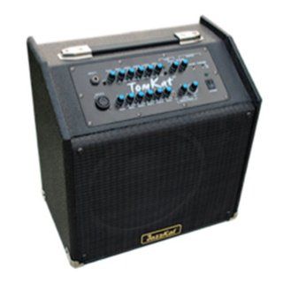 JazzKat Amplifiers TomKat 10": Musical Instruments