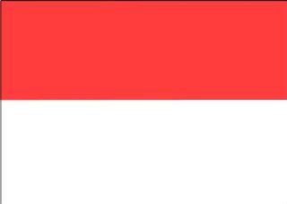 6" Indonesia Country flag Printed vinyl decal sticker for any smooth surface such as windows bumpers laptops.: Everything Else