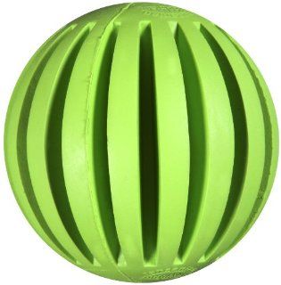 JW Pet Company Tanzanian Mountain Ball Dog Toy, Regular (Colors Vary) : Durable Toys For Dogs : Pet Supplies